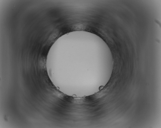 X0000098090240200804251302