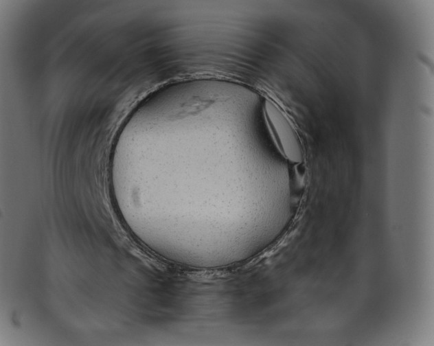 X0000098090241200804251301