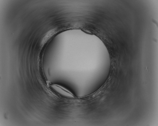 X0000098090242200804251301