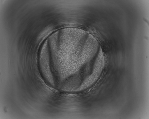 X0000098090243200804251301