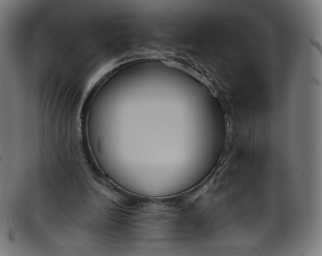 X0000098090246200804251301