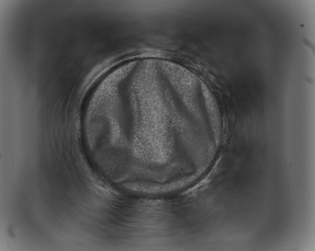 X0000098090247200804251301