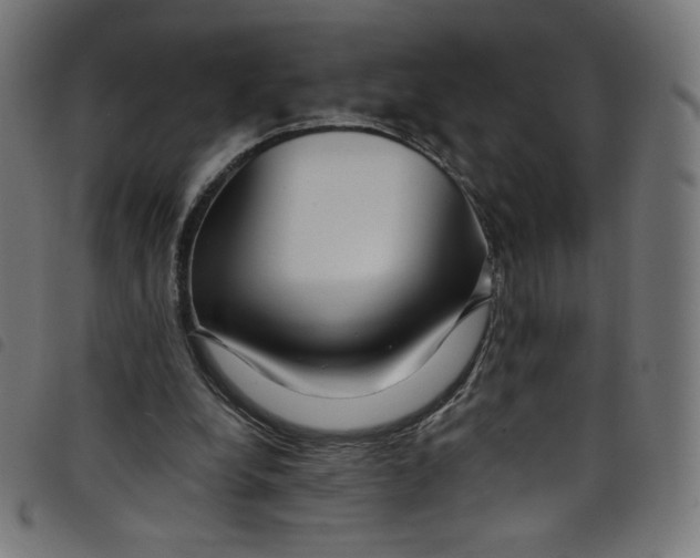 X0000098090248200804251301