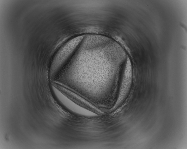 X0000098090249200804251301