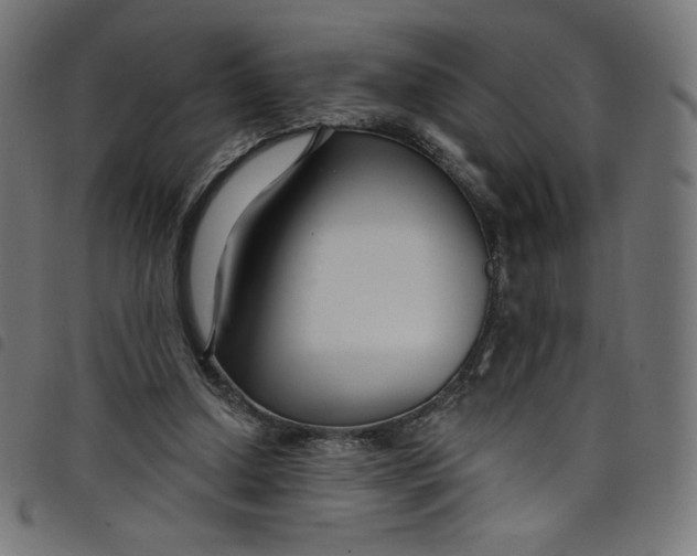 X0000098090250200804251301