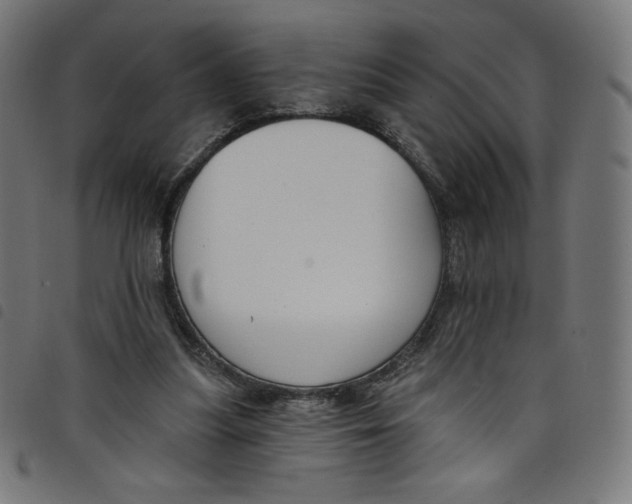 X0000098090251200804251302