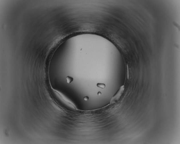 X0000098090252200804251302