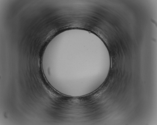 X0000098090253200804251302