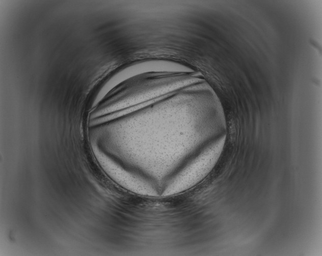 X0000098090254200804251302