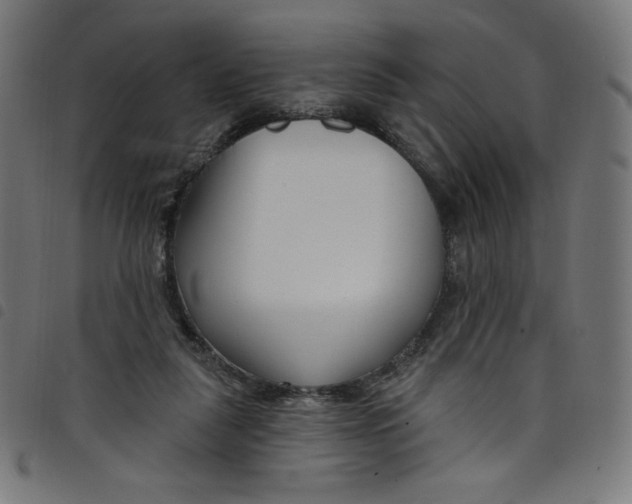 X0000098090259200804251302