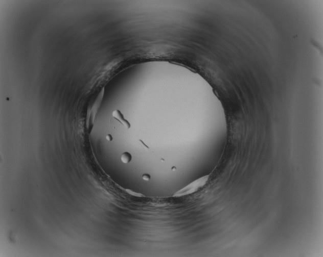 X0000098090260200804251302