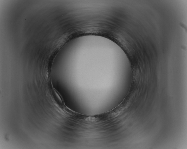 X0000098090261200804251302