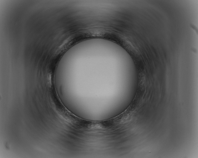 X0000098090262200804251302