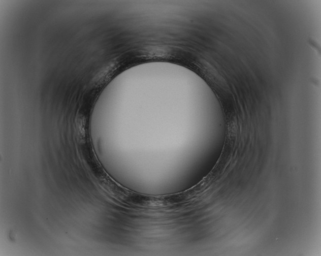 X0000098090264200804251302