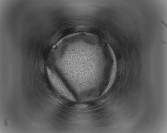 X0000098090266200804251302