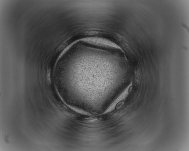 X0000098090267200804251302