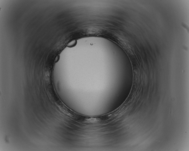 X0000098090269200804251302