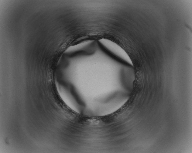 X0000098090272200804251302