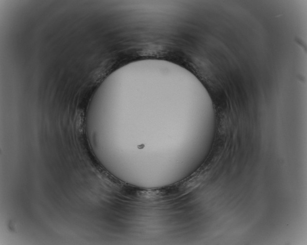 X0000098090273200804251302