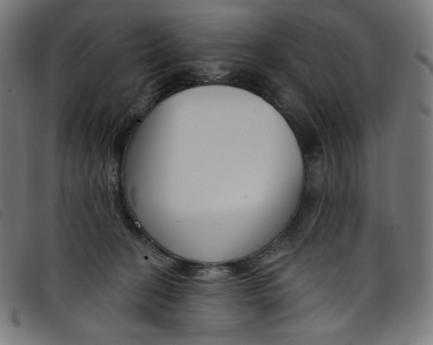 X0000098090274200804251302