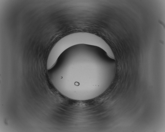 X0000098090276200804251302