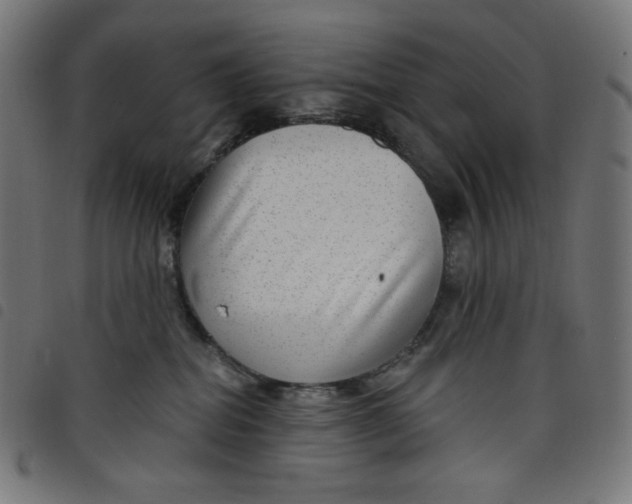 X0000098090282200804251302