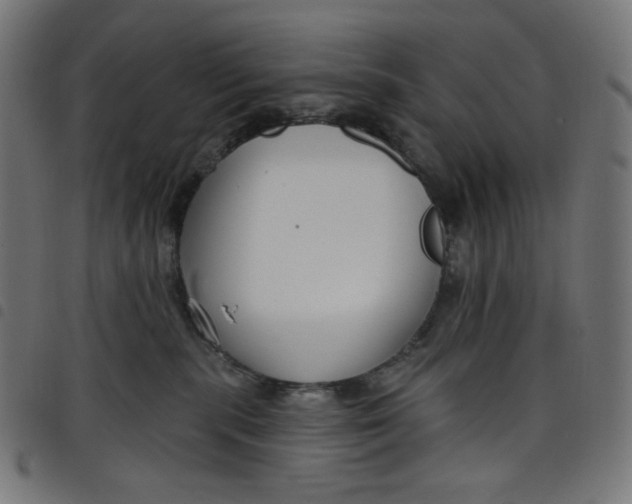 X0000098090283200804251302