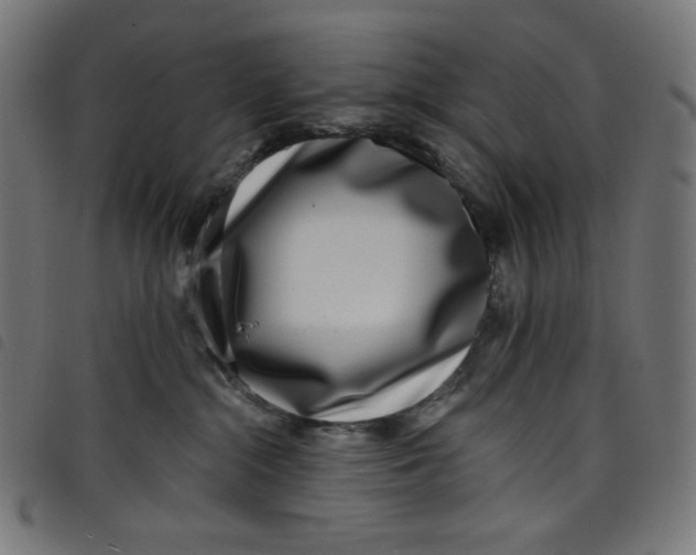 X0000098090284200804251302