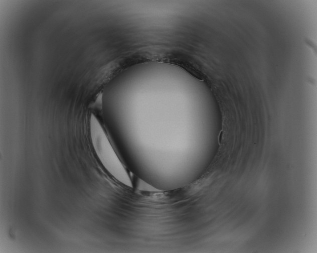 X0000098090288200804251302