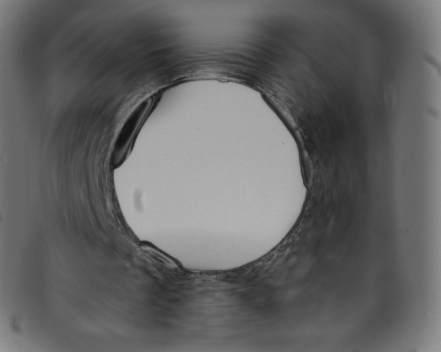 X0000098090289200804251301