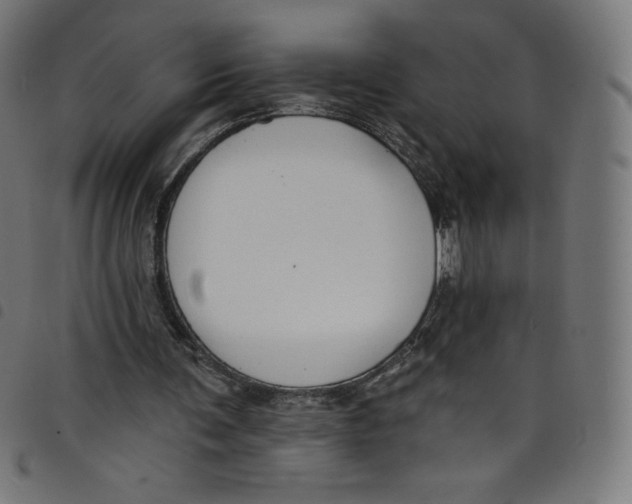 X0000098090291200804251301