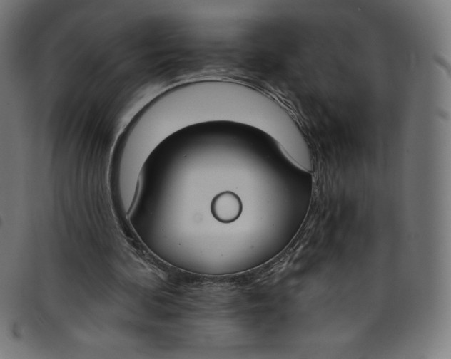 X0000098090292200804251301