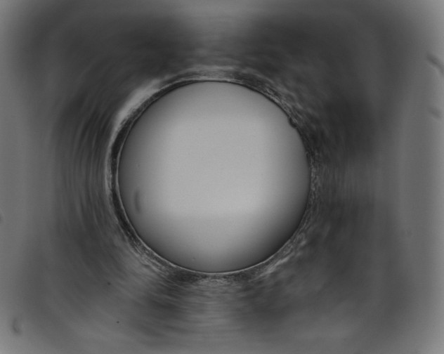 X0000098090294200804251301