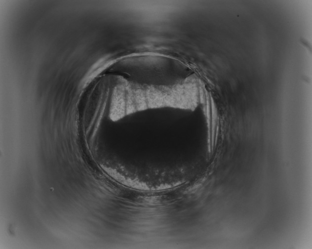 X0000098090295200804251301