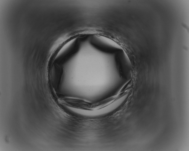 X0000098090296200804251301