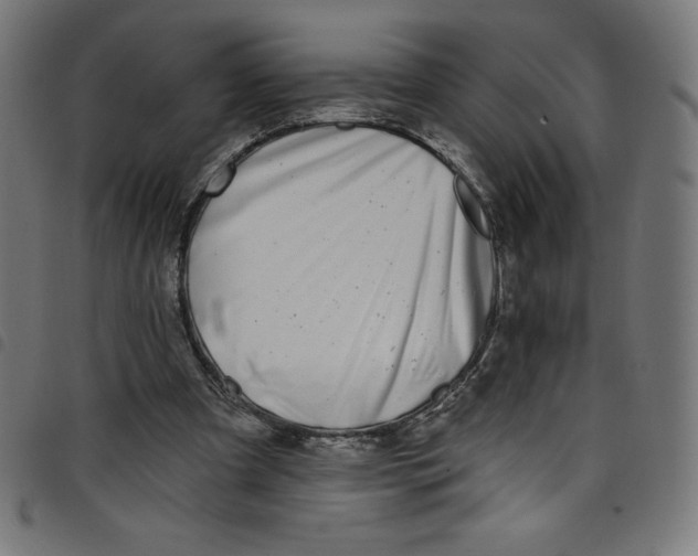 X0000098090297200804251301