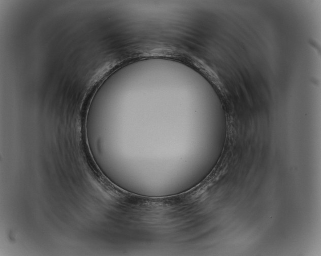 X0000098090298200804251301