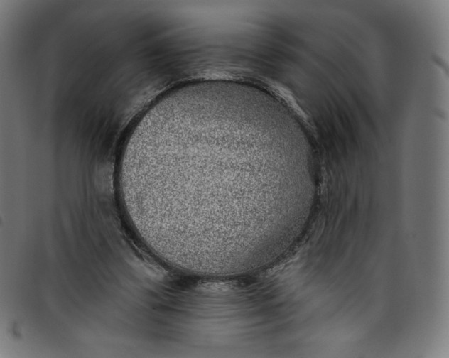 X0000098090299200804251301