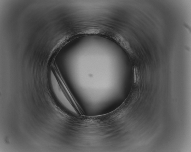 X0000098090300200804251301