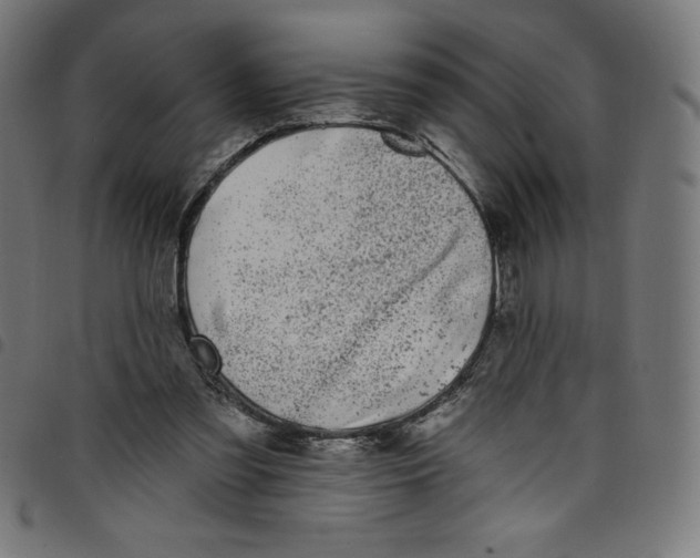 X0000098090301200804251301