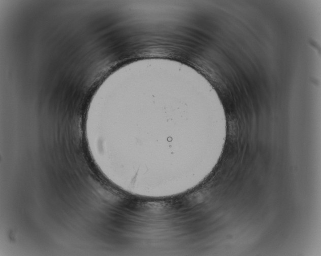 X0000098090302200804251301