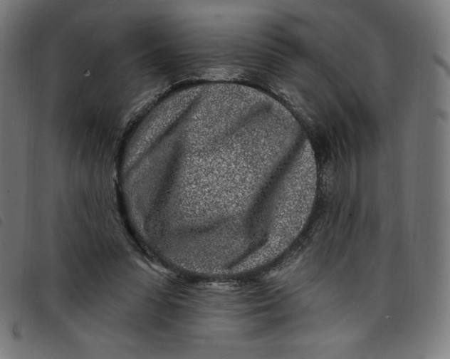 X0000098090303200804251301