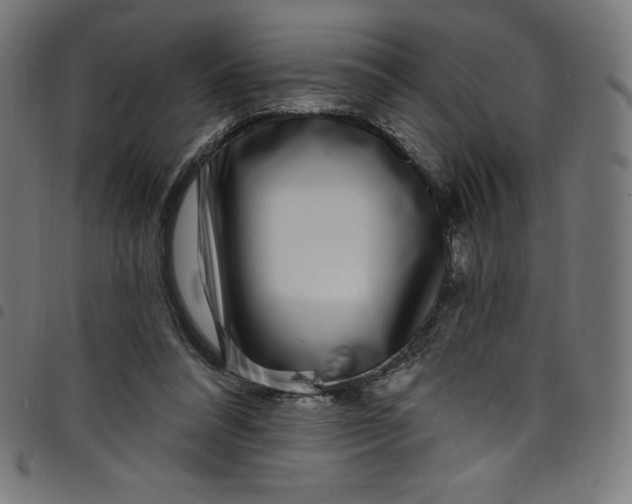 X0000098090304200804251301