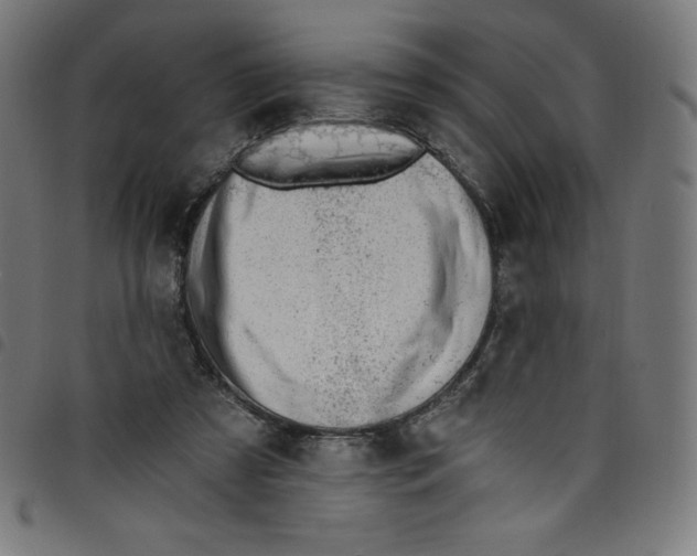 X0000098090305200804251301