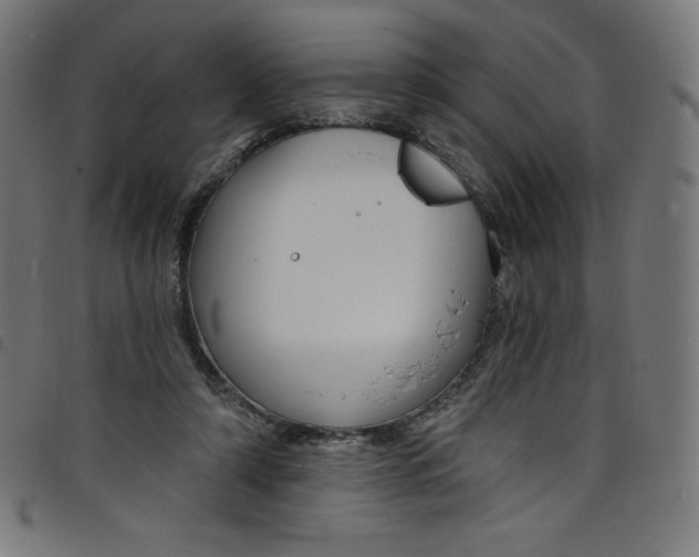 X0000098090306200804251301