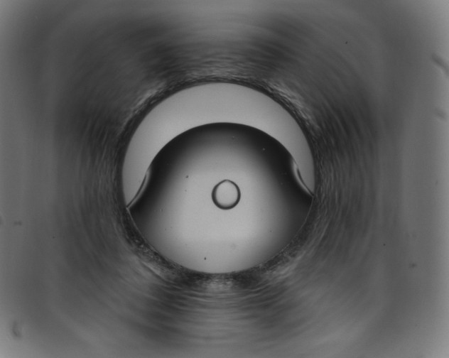 X0000098090308200804251301