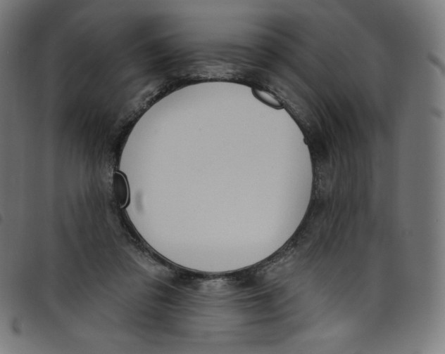 X0000098090309200804251301