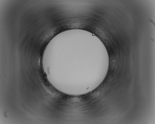 X0000098090310200804251301