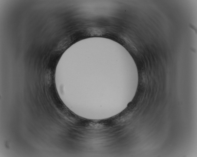 X0000098090311200804251301