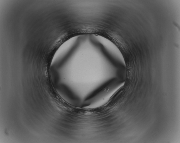 X0000098090312200804251301